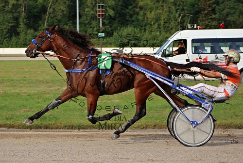 Michael-Nimczyk591009e624350